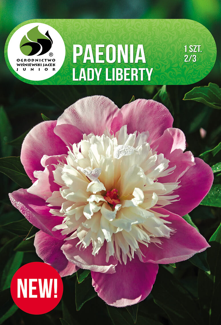 Paeonia-Lady-Liberty.jpg